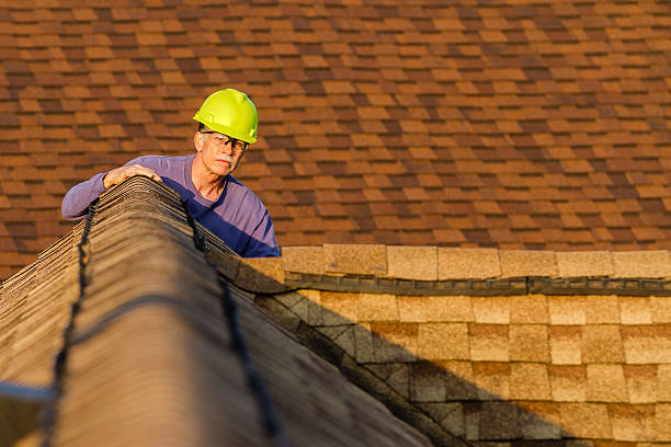 Best Roof Gutter Cleaning  in Redington Beach, FL